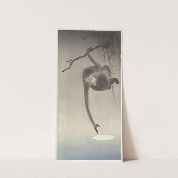 Monkey and reflection of the moon by Ohara Koson