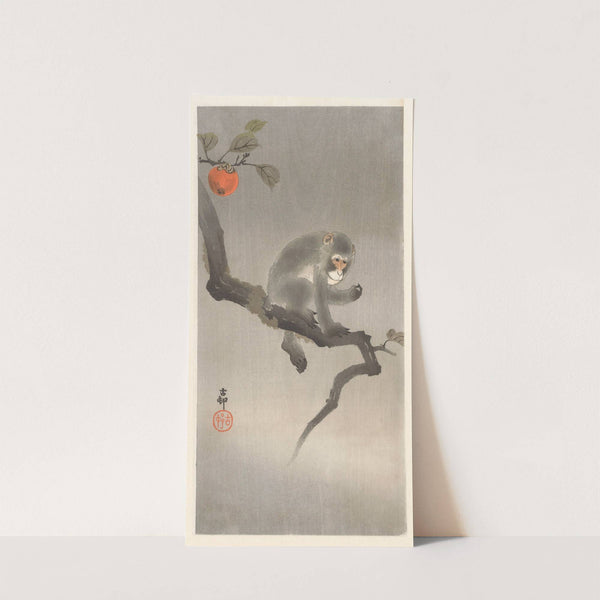 Monkey in kaki tree by Ohara Koson