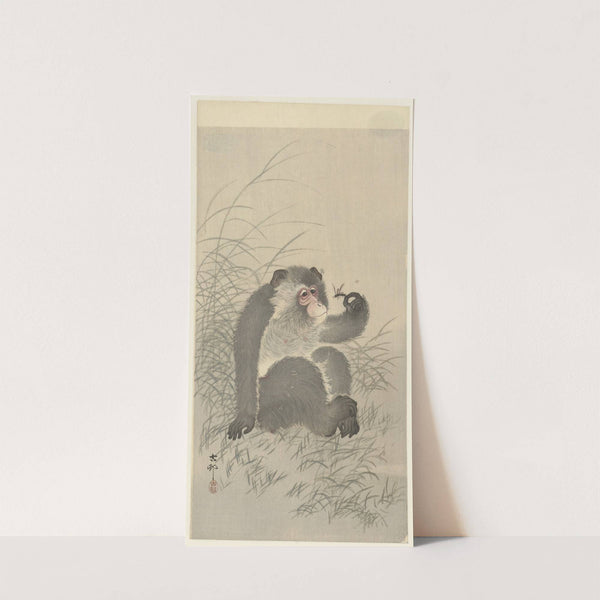 Monkey with insect by Ohara Koson
