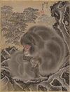 Monkeys (1888)