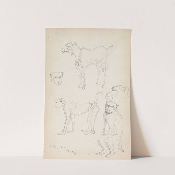 Monkeys and a Goat, Lahore by William Simpson