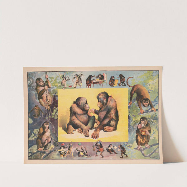 Monkeys at play (1891) by Calvert Litho. Co
