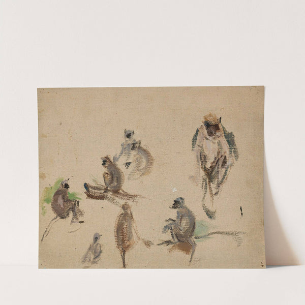 Monkeys. From the journey to India by Jan Ciągliński