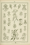 Monogrammy Pl.11