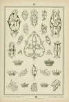 Monogrammy Pl.41