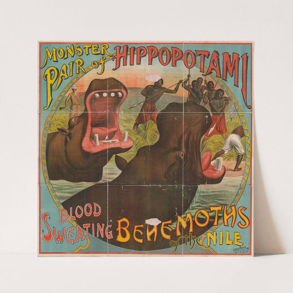 Monster pair of hippopotamuses. Blood sweating behemoths of the Nile (1892) by Russell, Morgan & Co.