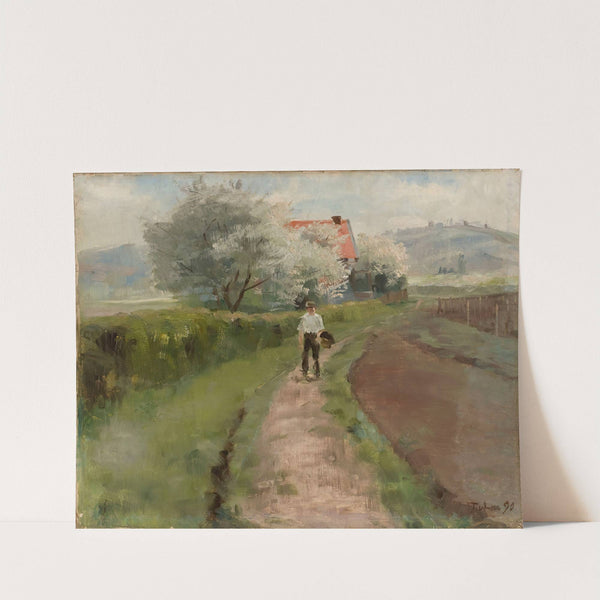 Montmorencysta by Torsten Wasastjerna