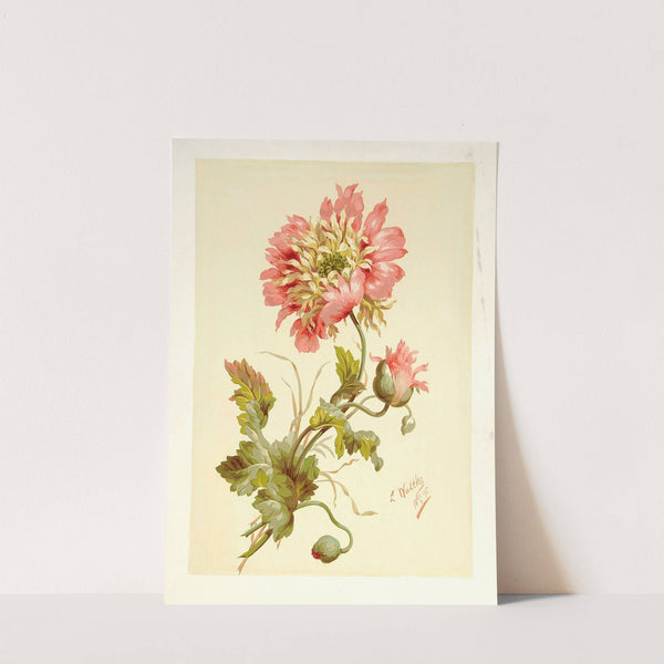 Moonid (1895) by Lilly Walther