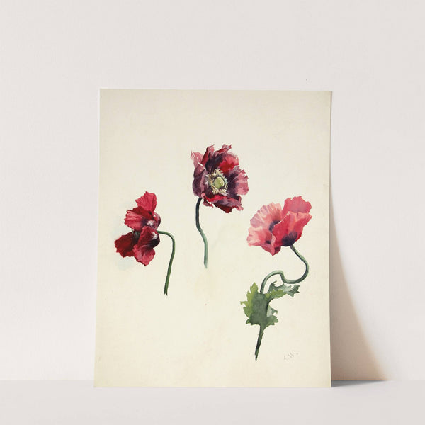 Mooniõied (ca 1902) by Lilly Walther