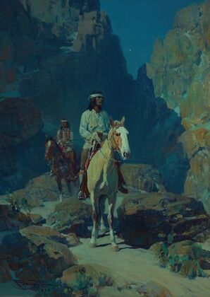 Moonlight in the Canyon