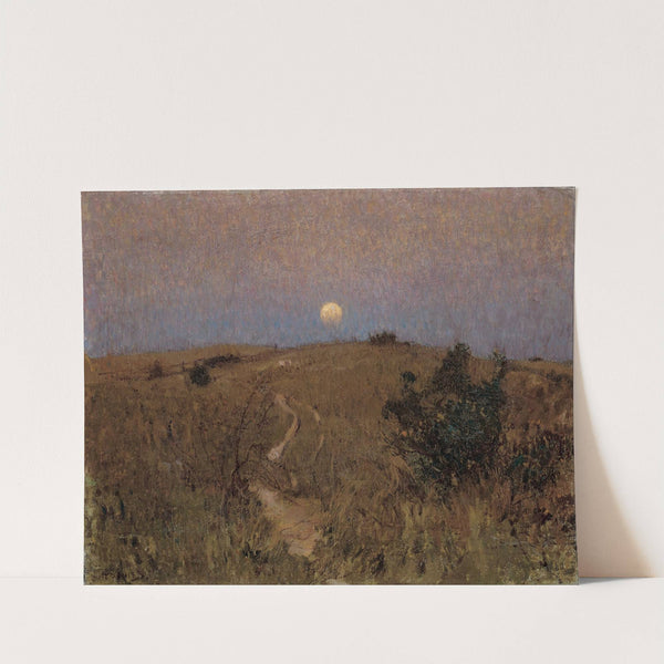 Moonrise by David Davies