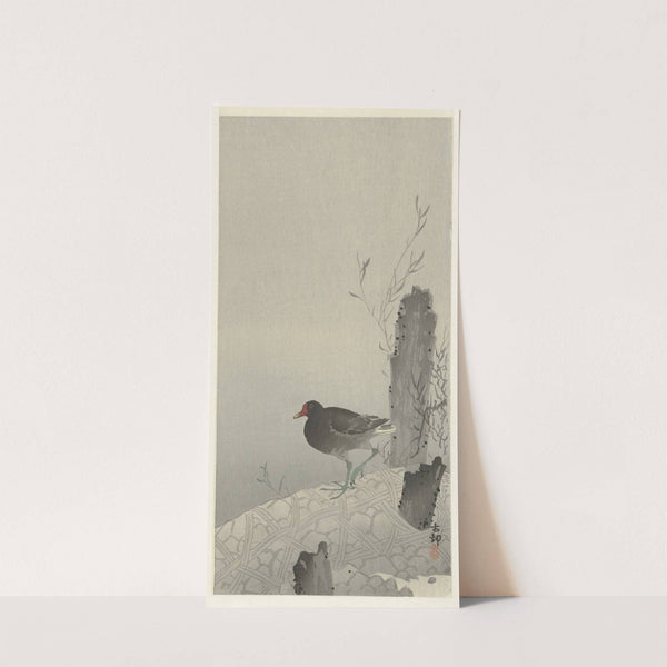 Moorhen by Ohara Koson