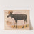 Moose. European elk. Alces malchis (1874) by Louis Prang & Co.