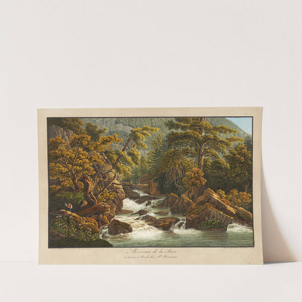 Morceau de la Birs by Peter Birmann