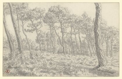 Morgat (1915)