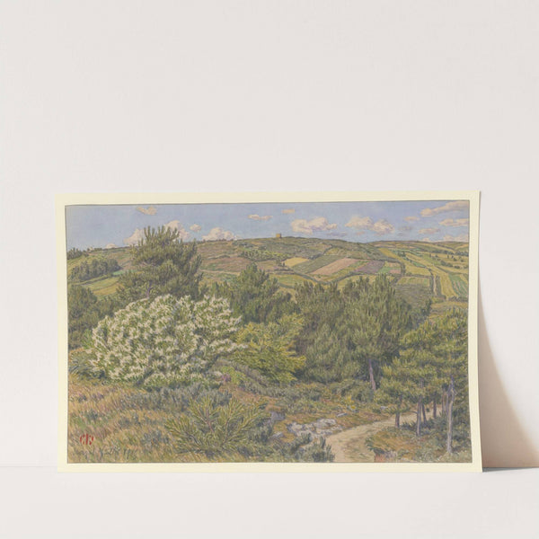 Morgat (petit bois à Morgat) (1915) by Henri Rivière