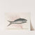 Mormijrus &c., The Bone-Fish. by Mark Catesby