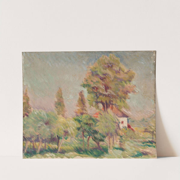 Morning by Adam Hannytkiewicz