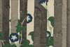 Morning Glories (Asagao)
