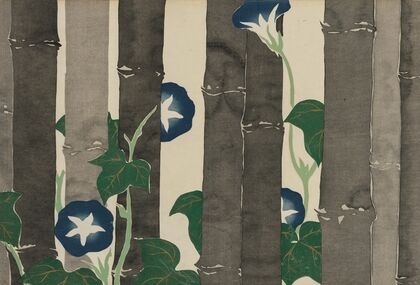 Morning Glories (Asagao)