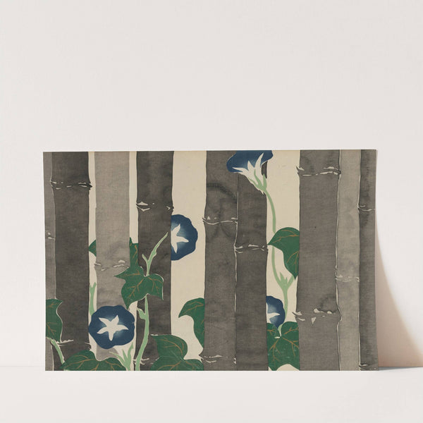 Morning Glories (Asagao) (1909-1910) by Kamisaka Sekka