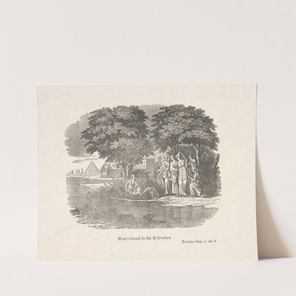 Moses found in the bulrushes. by Alexander Anderson