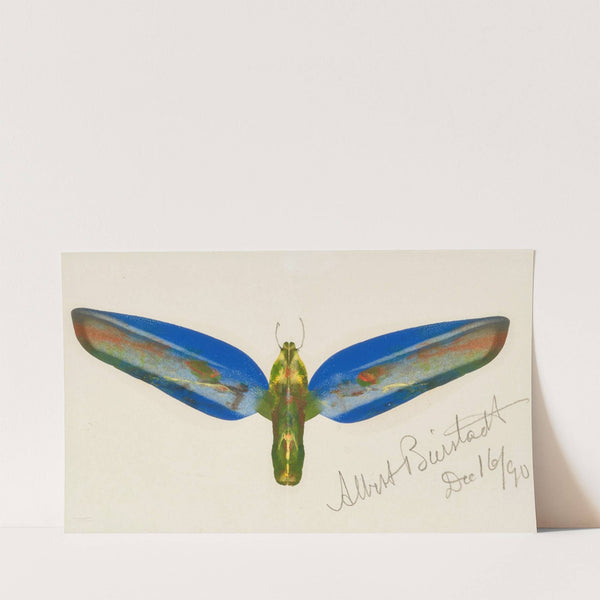 Moth (1890) by Albert Bierstadt