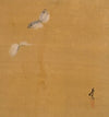 Moths (1847)
