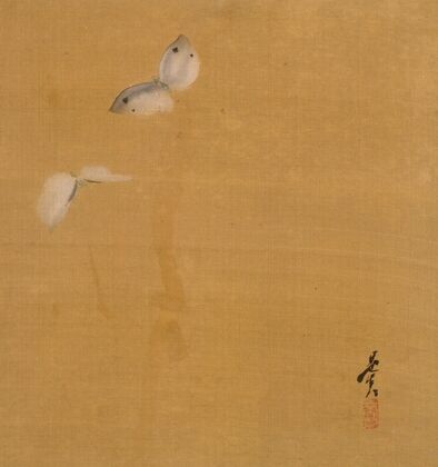 Moths (1847)