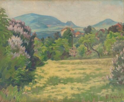 Motif from Karlová Ves