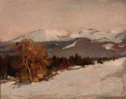 Mountain landscape in winter