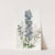 Mountain Larkspur by Sydenham Edwards