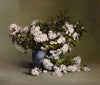 Mountain Laurel