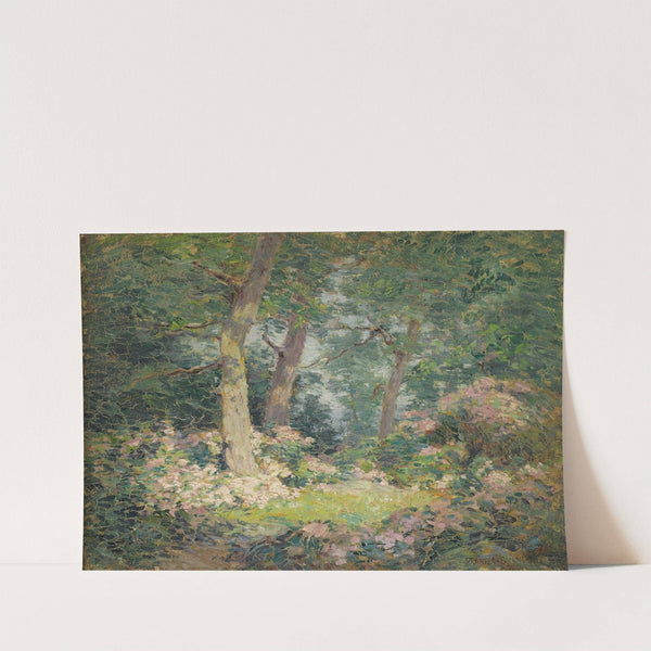 Mountain Laurel by Frank Alfred Bicknell