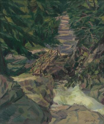 Mountain-Stream in the Tatras