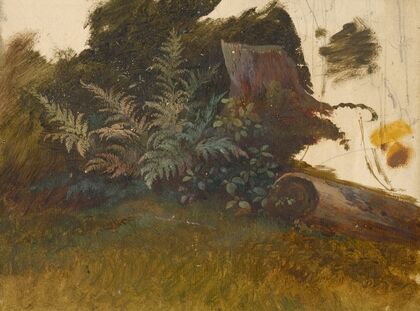 Mountain Vegetation
