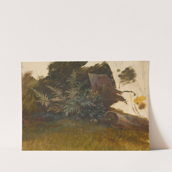 Mountain Vegetation by Friedrich Carl von Scheidlin