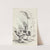 Mouseknees Pl.01 by Avery Johnson