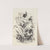 Mouseknees Pl.03 by Avery Johnson
