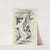 Mouseknees Pl.09 by Avery Johnson