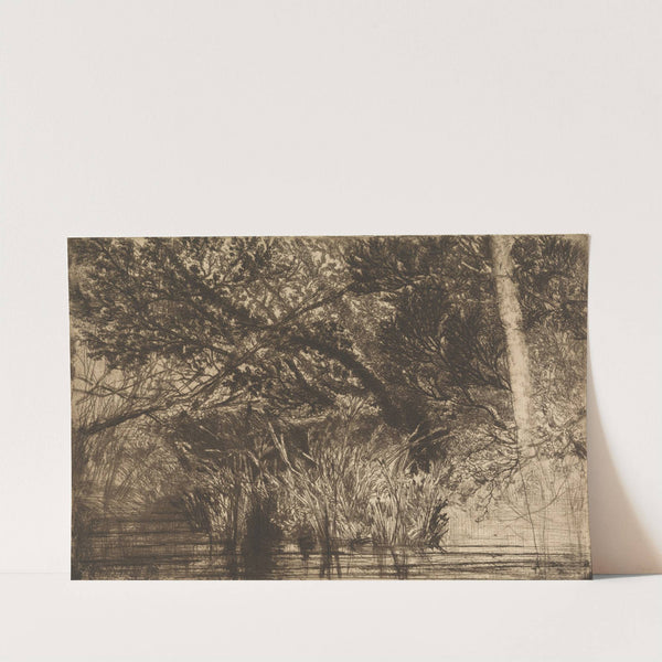 Mouth of a Brook, no. 1 by Francis Seymour Haden