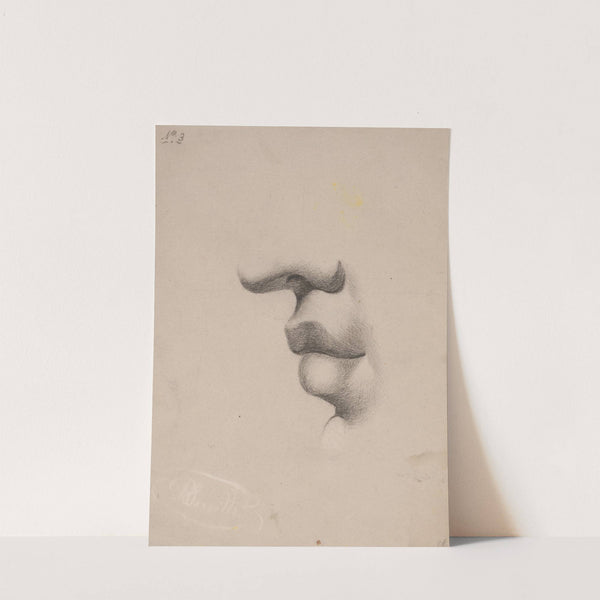 Mouth study facing left, no. 3 by Richard Sanger Smith