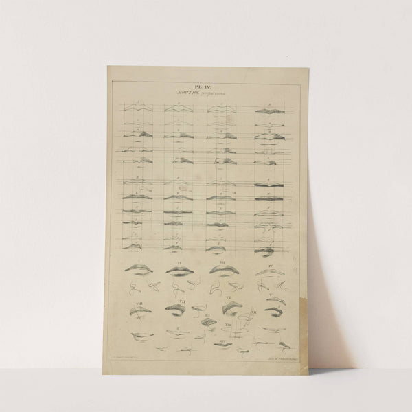 Mouths - proportions by John Rubens Smith