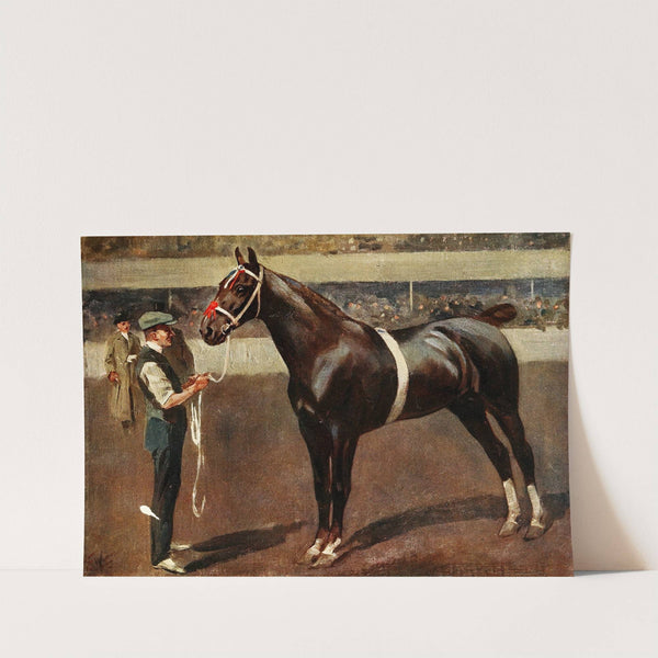 Mr. Butler's Hackney Stallion, Kirkburn Toreador by Frederic Whiting