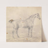 Mr. Plumer’s Horse by Sawrey Gilpin
