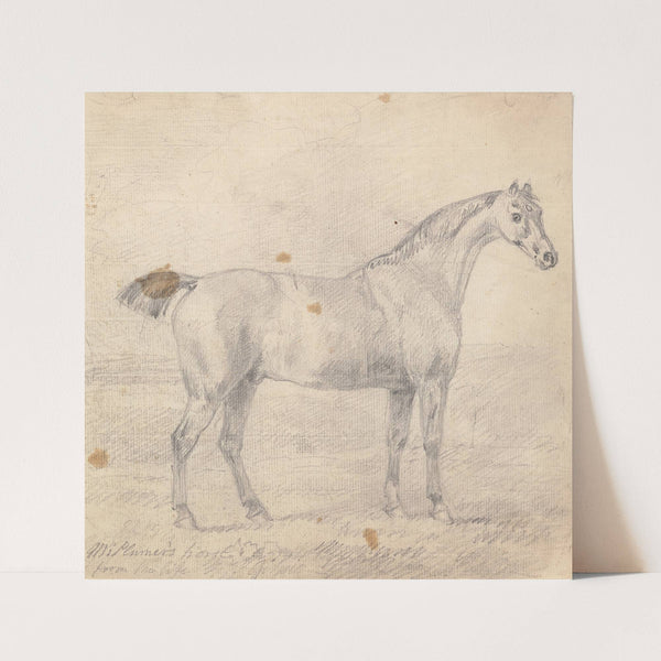 Mr. Plumer’s Horse by Sawrey Gilpin
