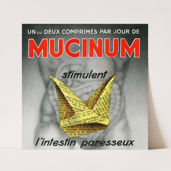 Arhemapectine Gallier 2 (1910-1950) by Laboratoire R. Gallier