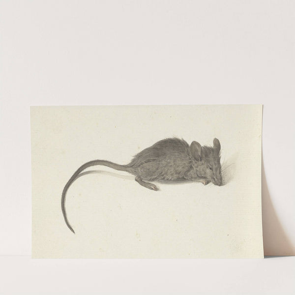 Muis, naar rechts by Jean Bernard