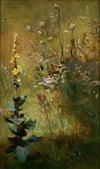 Mullein