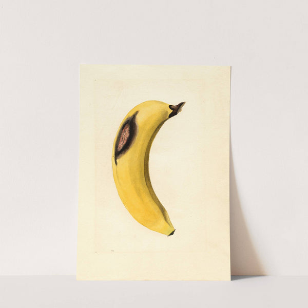 Musa (1919) by James Marion Shull